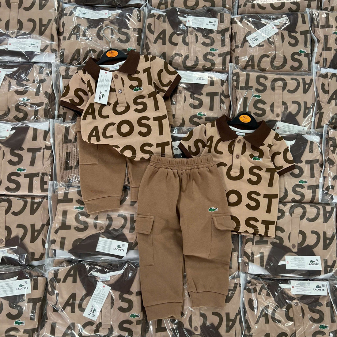 Lacoste Brown
